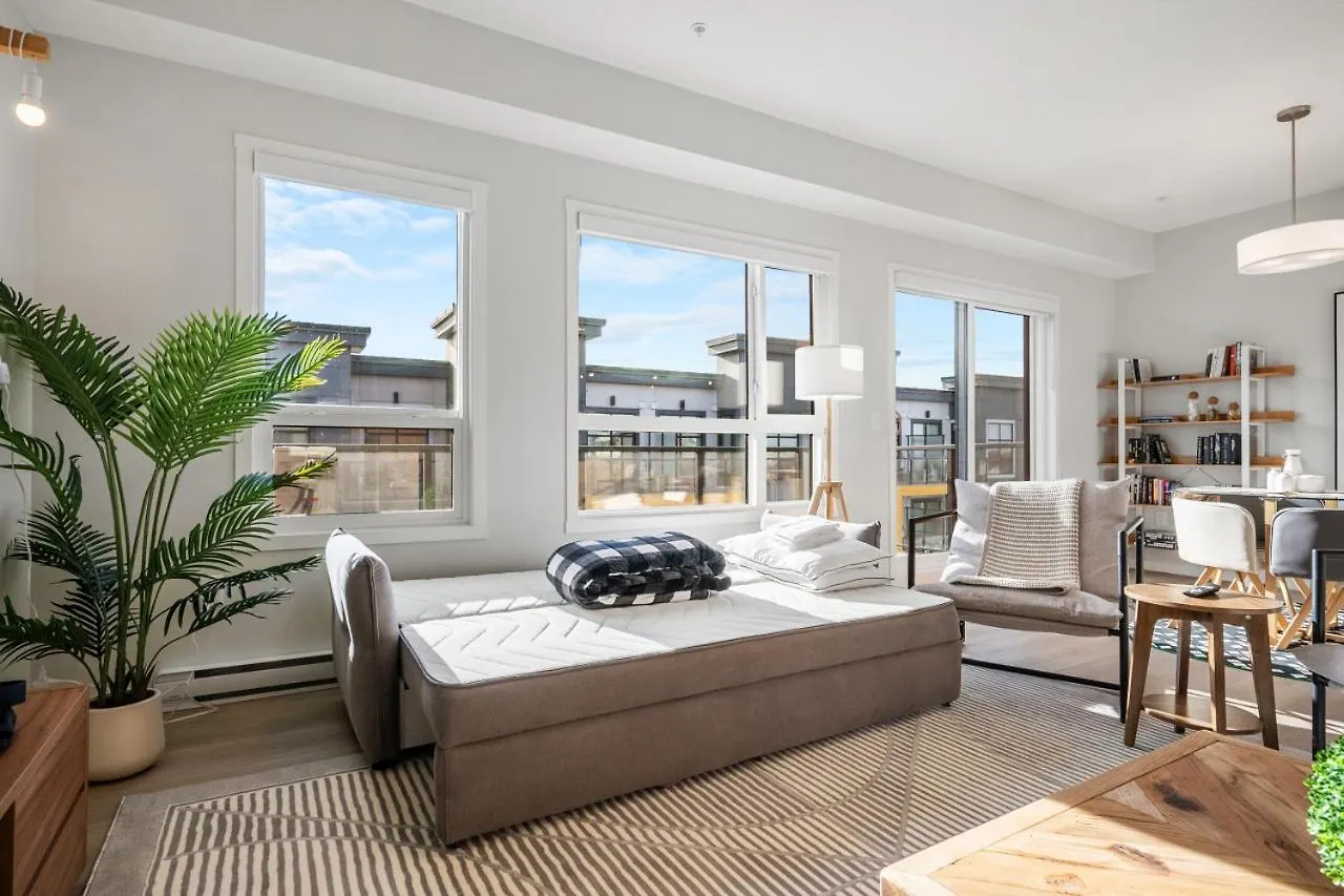 Large Open Concept Luxury Apartment With Ac, 70